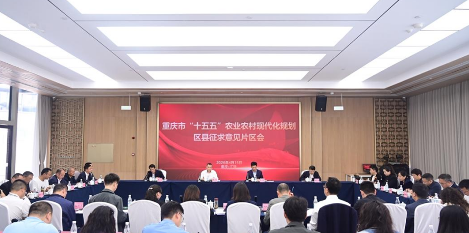 QQ_1776734364647.png