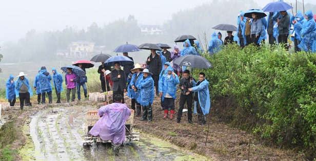 betway中文举办2026年山区水稻机械化生产技术现场培训会.png