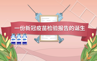 视频 | 一份新冠疫苗检验报告是如何诞生的？