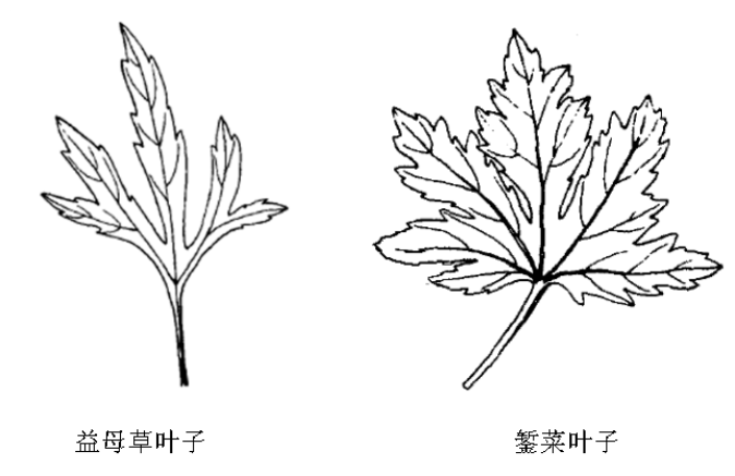 betway中文