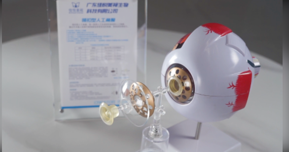 【南方网】视频｜betway中文
创新服务助力医药产业高质量发展